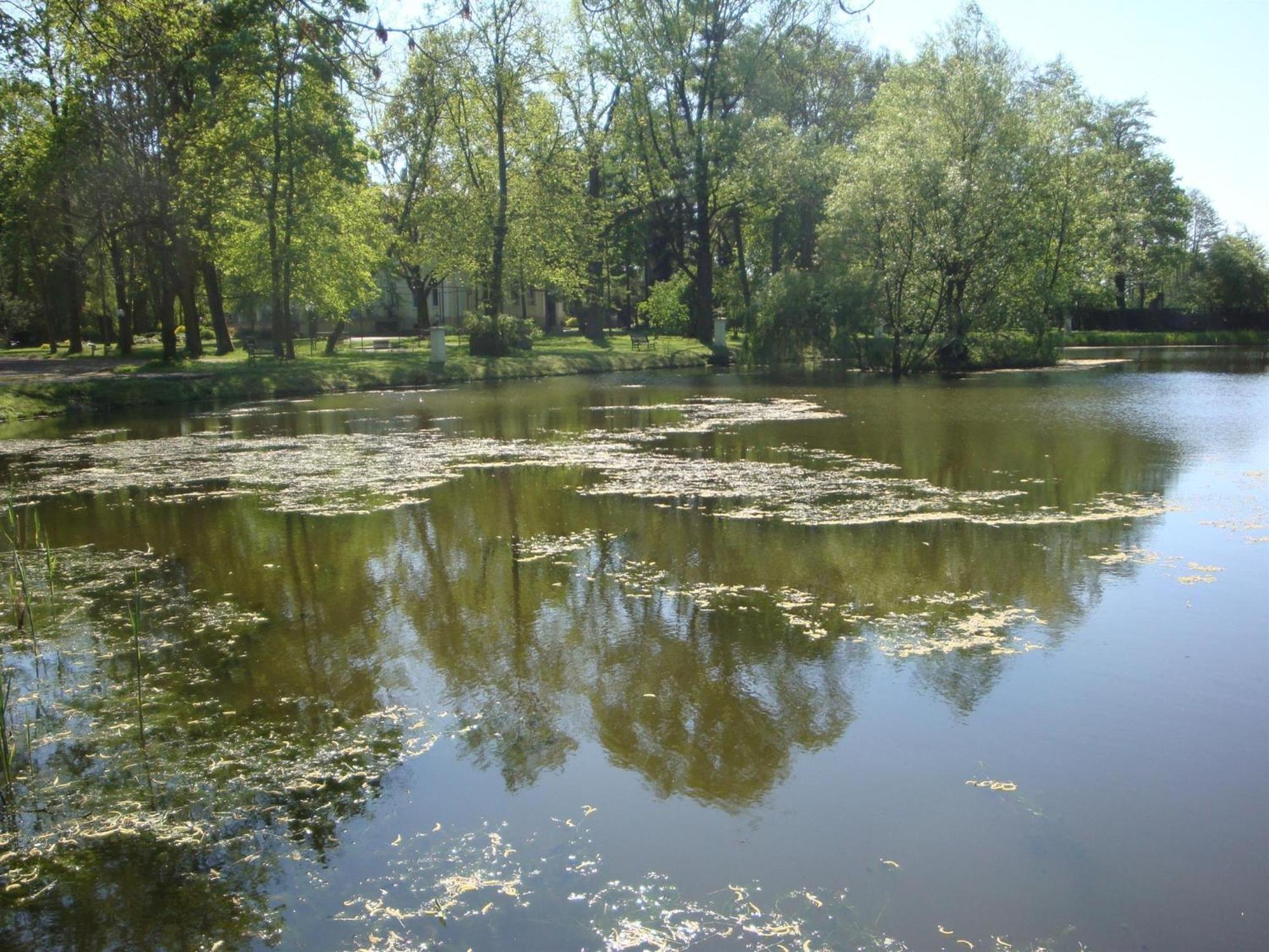 Palac Nieznanice Zabytek Goscinny Ze Spa Luaran gambar